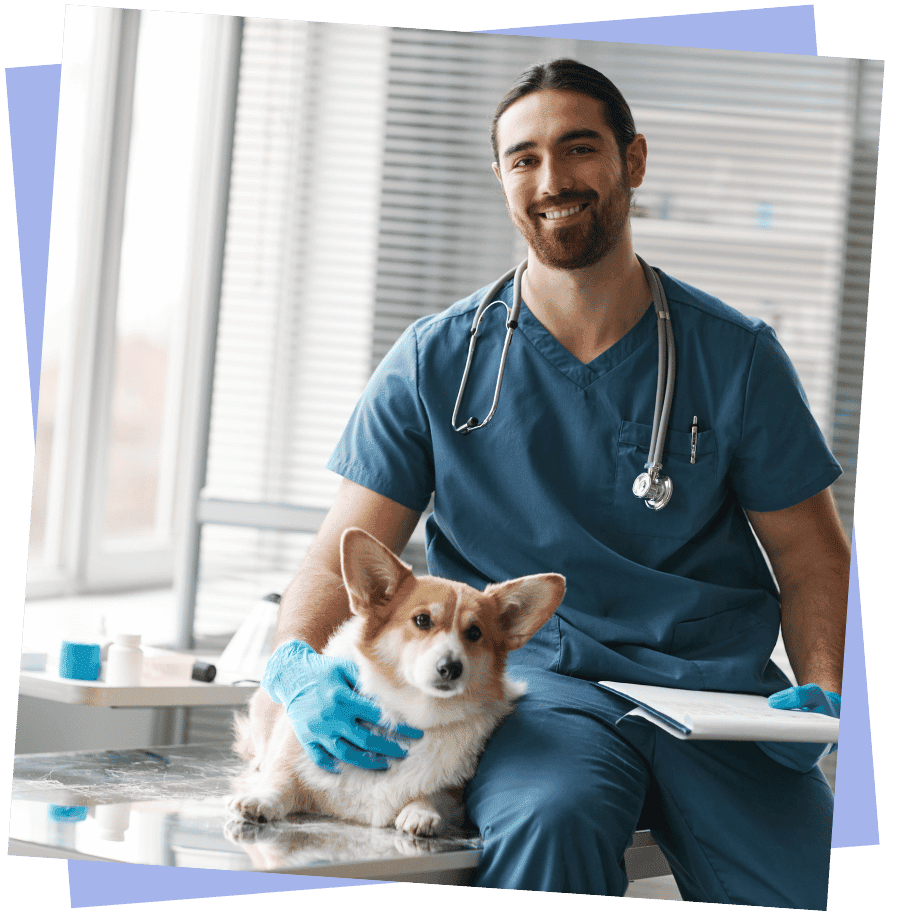 veterinarian assistance